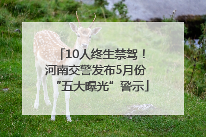 10人终生禁驾！河南交警发布5月份“五大曝光”警示